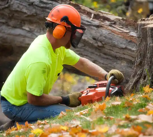 tree services Bethesda